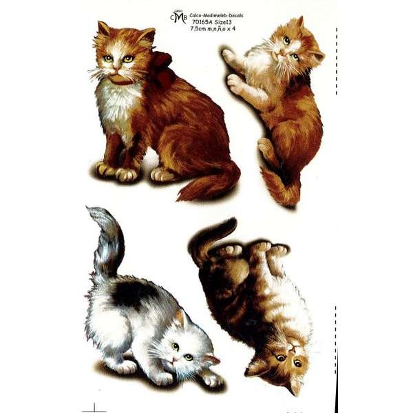 Kissa (erilaisia) (p.56)